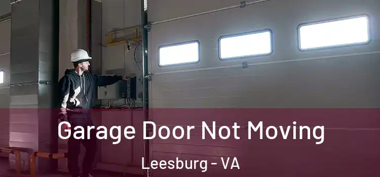  Garage Door Not Moving Leesburg - VA