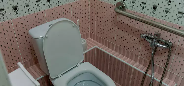 Meeting Diverse Needs With Accessible Restroom Solutions in Leesburg, VA