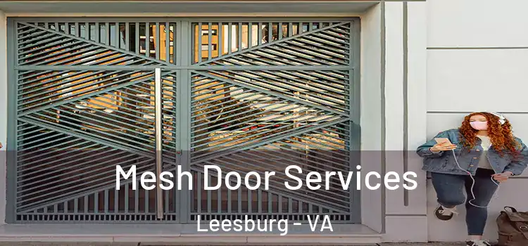 Mesh Door Services Leesburg - VA